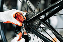 CycleLab Zürich. Zwe...