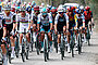 Geschlossenes Peloton bei Strade Bianche.