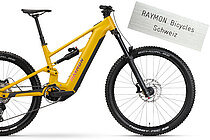 E-Mountainbike «Ravor» von Raymon Bicycles.