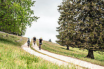 Fahrer auf der Strecke vom «Gravel Trans Jura».