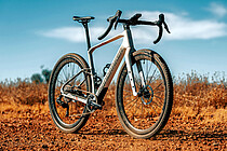 Mondraker Arid Carbon. 
