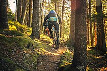 Mountainbiker auf schmalem Trail